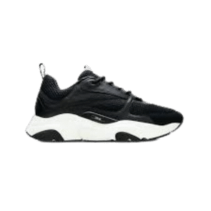 Zapatilla Dior B22